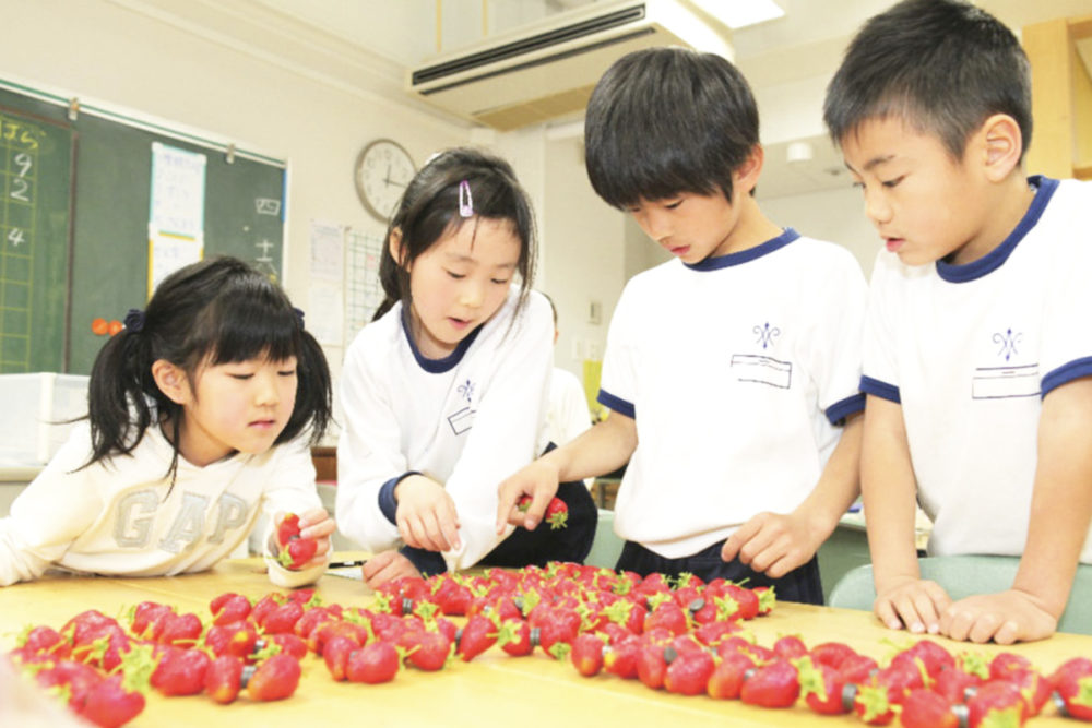 湘南学園小学校03