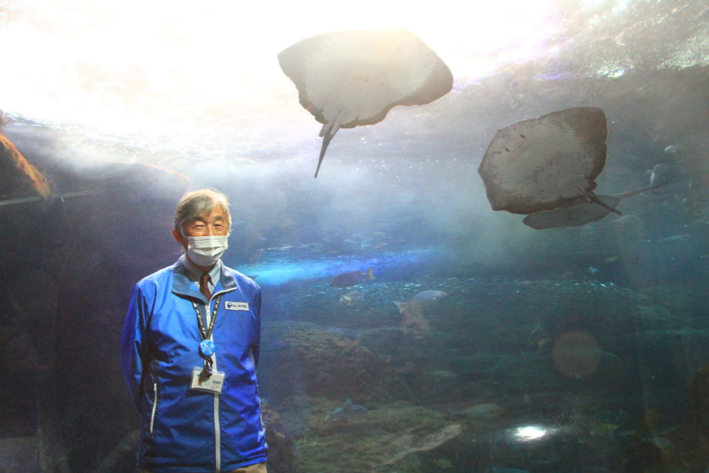 江ノ島 水族館 新 【江の島】水族館LOVERが教える「新江ノ島水族館」の魅力！