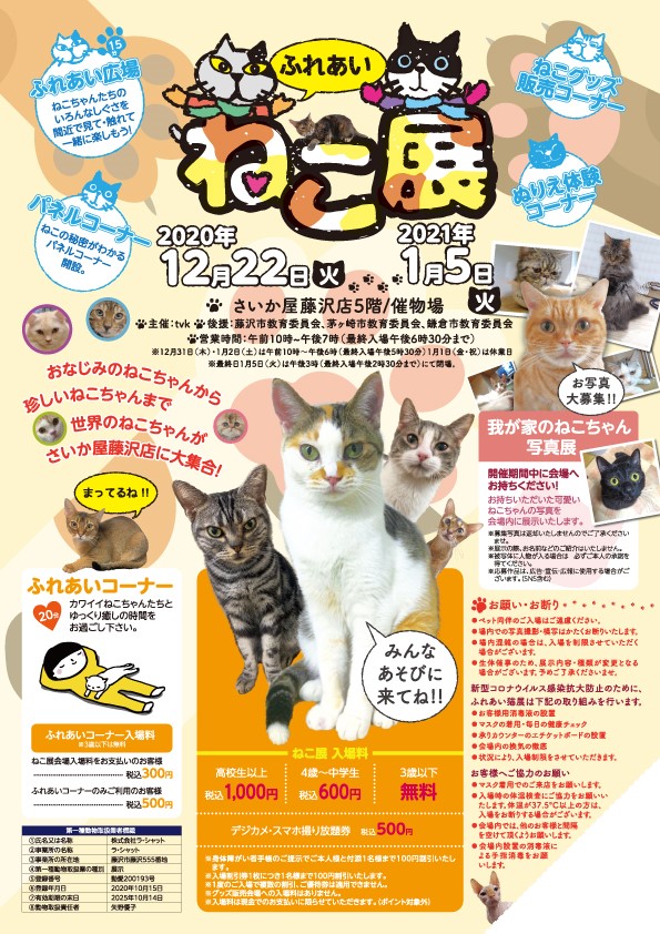 猫 ねこ ネコ さいか屋藤沢展で ふれあい ねこ展 開催 12月22日 火 1月5日 火 Aicco あいっこ 湘南 藤沢ローカルコミュニティサイト