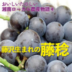 おいしいたのしい 　湘南ローカル農産物語④