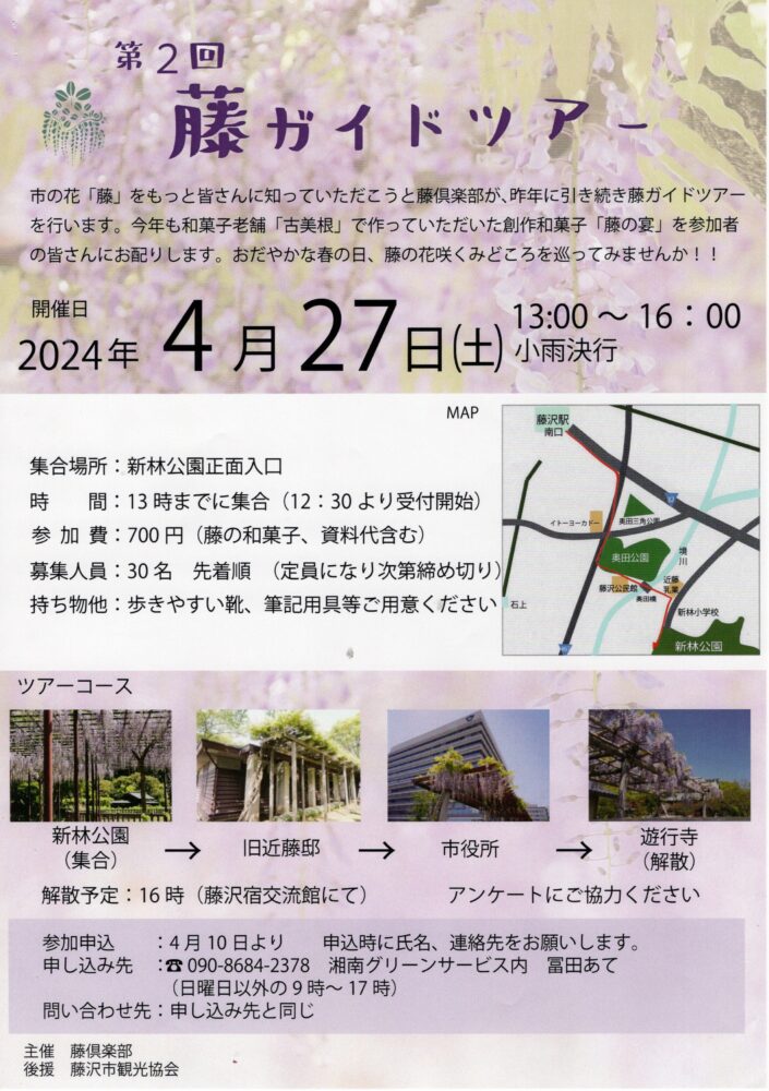 4月27日、藤の名所巡るガイドツアー | aicco【あいっこ】湘南・藤沢 