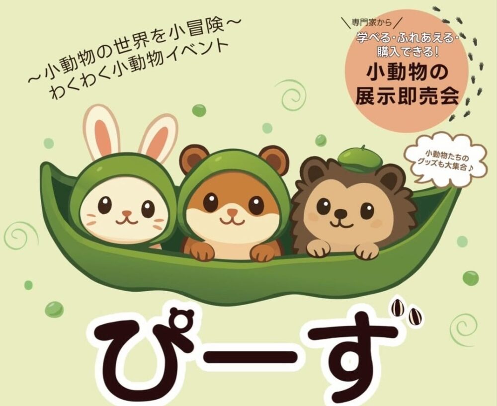 小動物と触れ合う「ぴーず」開催！初心者から楽しめる魅力