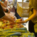 JAさがみ夏野菜即売会、7月10日藤沢支店で開催