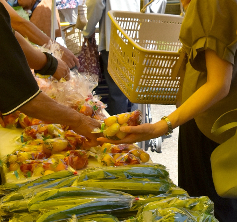 JAさがみ夏野菜即売会、7月10日藤沢支店で開催 | aicco【あいっこ