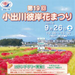 小出川彼岸花まつり、9月26日に開催